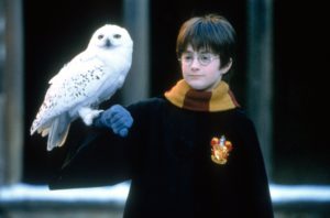 Daniel Radcliffe Admits He's "Intensely Embarrassed" By His Acting In 'Harry Potter' 