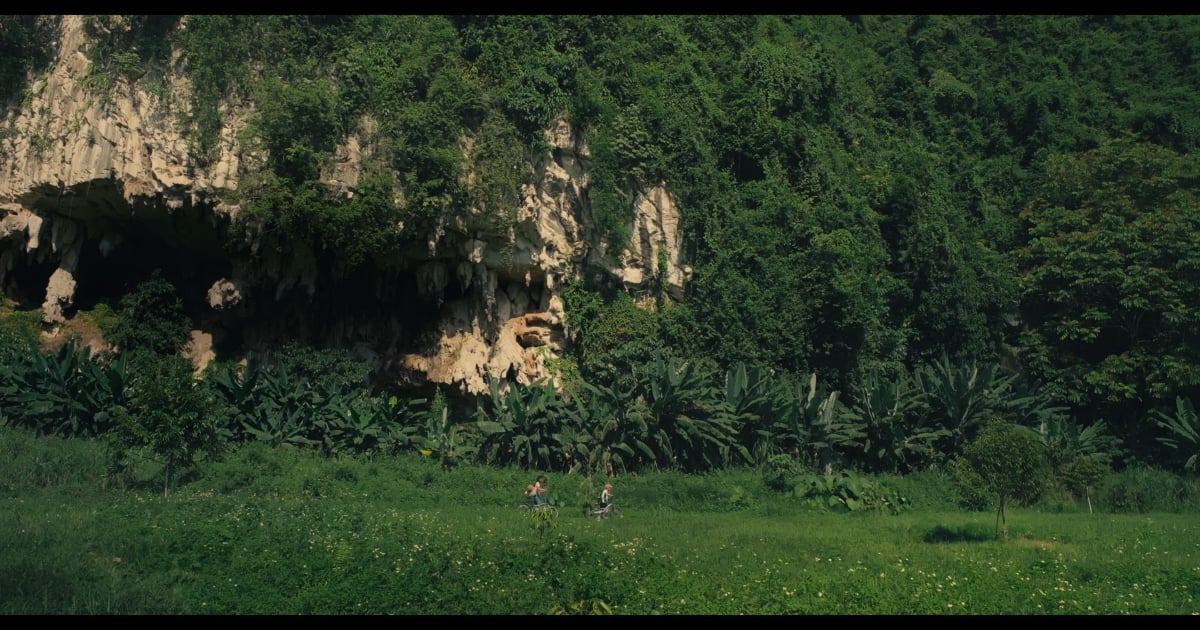 Background